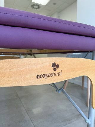 Camilla fisioterapéutica profesional