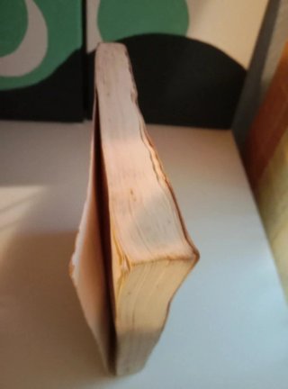 El hechizo de Elsie
