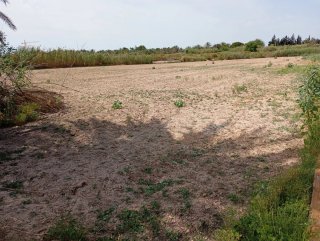 Plano Finca 4638 SUP: 3185 m²