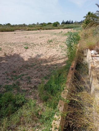 Plano Finca 4638 SUP: 3185 m²