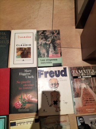 Lote libros