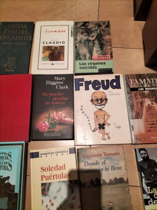 Lote libros
