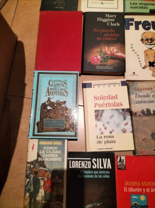 Lote libros