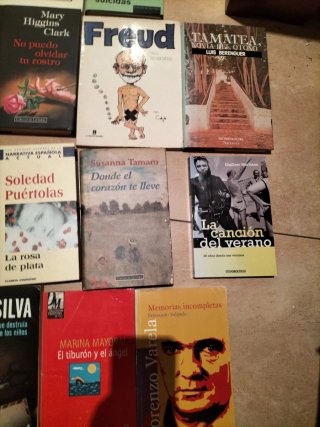 Lote libros