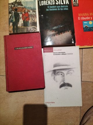Lote libros