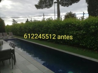 Limpieza de parcelas
