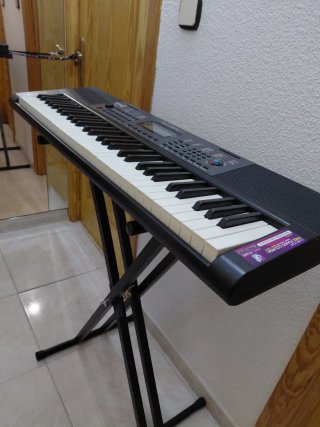 Organo Rock Jam RJ400 con soporte