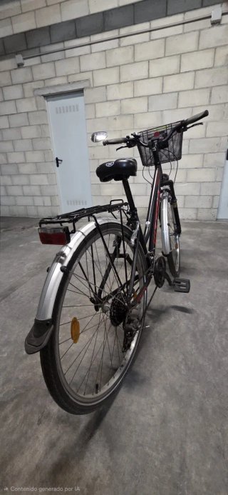 Bicicleta Urbana Vitoria Negra