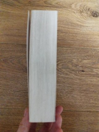 Libro El Tablero de la Reina de Luis Zueco