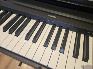 Piano Teclado Yamaha P-45