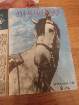Revistas Meridiano