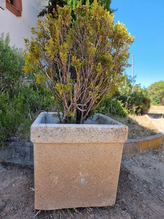 2 Jardineras piedra lavada cuadrada