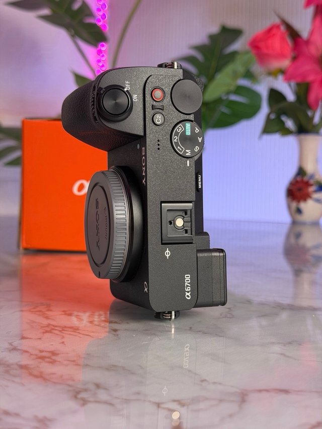 Sony A6700 (1k Disparos)