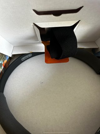 Nintendo Ring Fit Adventure
