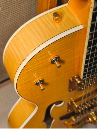 Gretsch 6120 AM 2004 Guitarra Eléctrica
