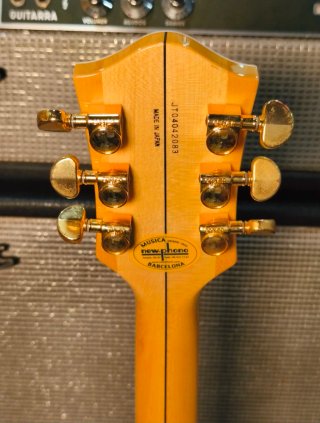 Gretsch 6120 AM 2004 Guitarra Eléctrica