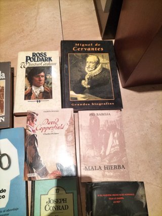 Lote de libros