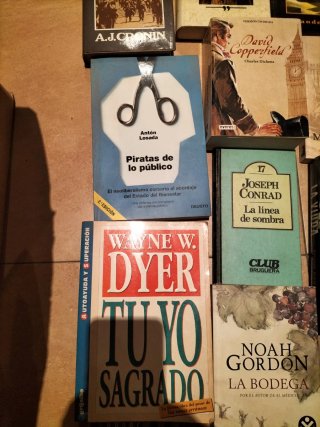 Lote de libros