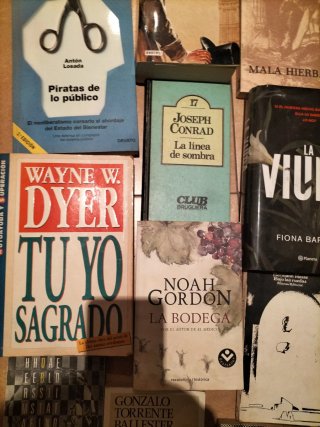 Lote de libros