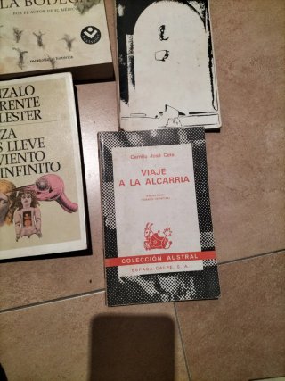 Lote de libros