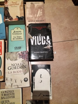 Lote de libros