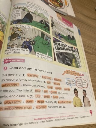 Libro ingles 4 héroes pupil’s book 9780230489035