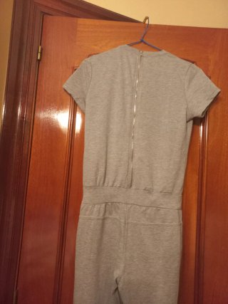 Mono gris con tachuelas