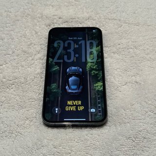 iPhone 13 Pro 256GB Verde Oscuro Bateria 86%.