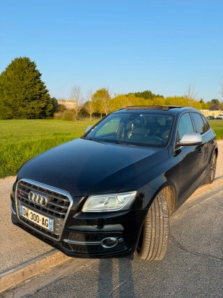 Audi SQ5 2014