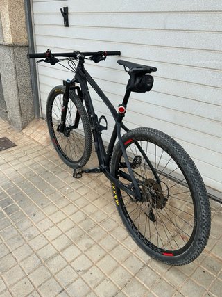Bicicleta carbono 29 Fox Maxxis