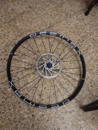 Rueda Mavic 29 con disco