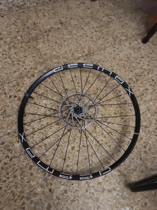Rueda Mavic 29 con disco