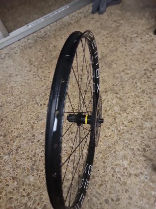 Rueda Mavic 29 con disco
