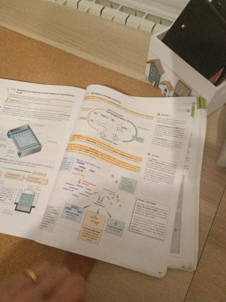Biologia, 2 Batxillerat