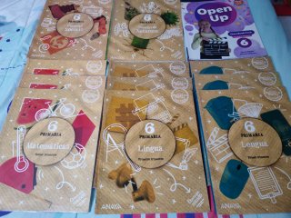 Lote libros sexto de primaria