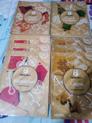 Lote libros sexto de primaria