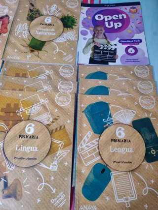 Lote libros sexto de primaria