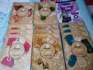 Lote libros sexto de primaria