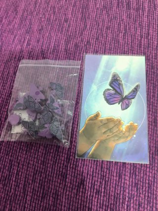 Mariposas Devir + promo mariposas moradas