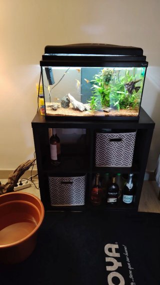 Pecera de cristal y plástico