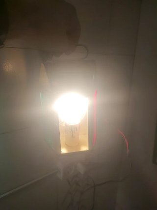 Farol antiguo dorado con luces