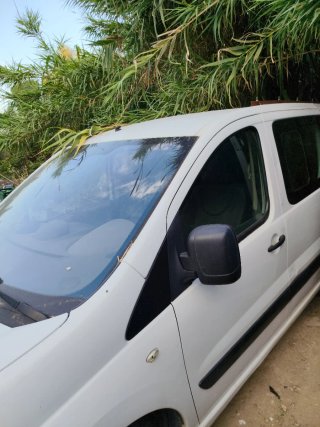 Peugeot Expert 2009