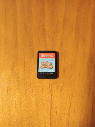 Animal Crossing: New Horizons, Nintendo Switch
