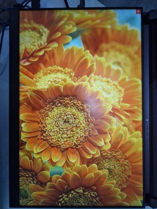 Monitor Portátil 1.5K 039777