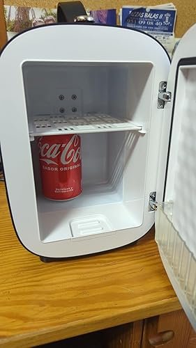 Mini Nevera Frigobar Portátil para Coche/Casa