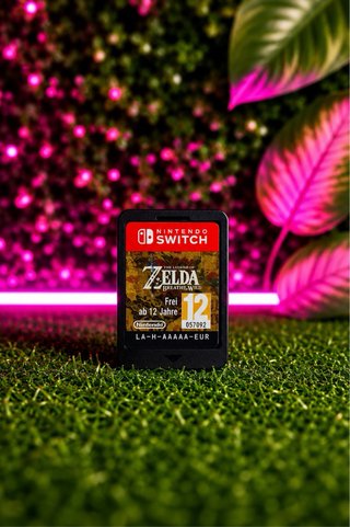 The Legend of Zelda Breath of the Wild Switch