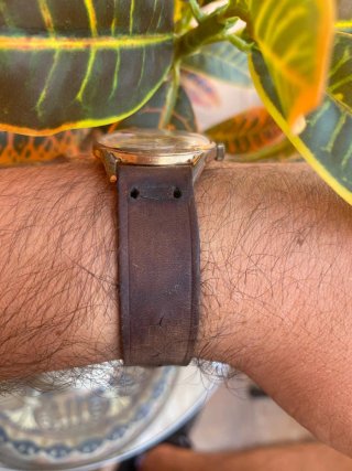 Reloj Varcar Automático 21 Rubíes