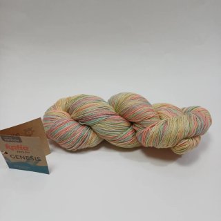 2 ovillos Katia Genesis 301+304
