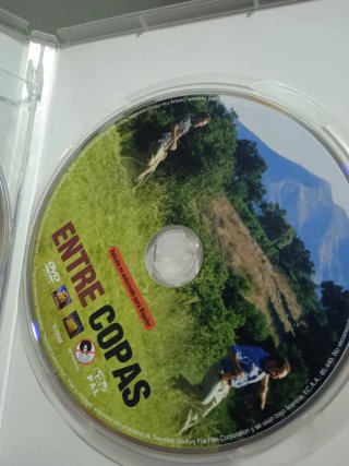 DVD 2 Películas: Un Buen Año y Entre Copas