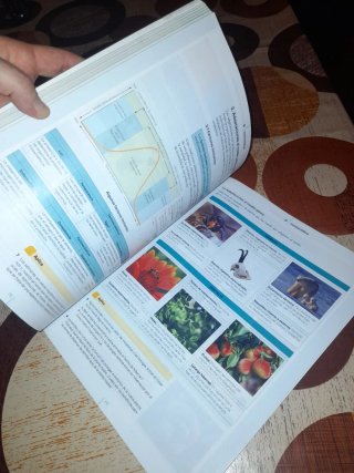 Biología y Geología, 4 ESO, Código abierto, En ...